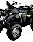 2003 Arctic Cat ATVs from 250cc to 500cc Service Manual